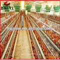 2017 new design poultry farm equipment chicken layer cages for keeping 160-200 layers